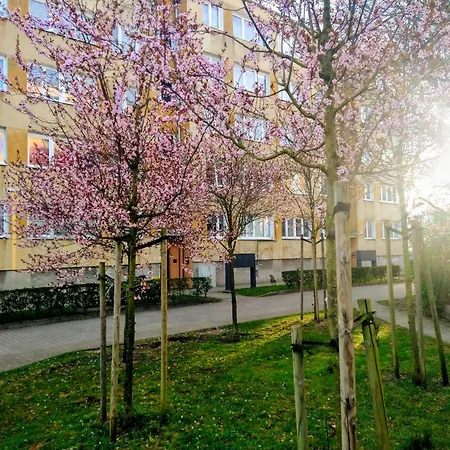 Dom Domino,komfortowa Kawalerka W Dobrym Miejscu Appartamento *